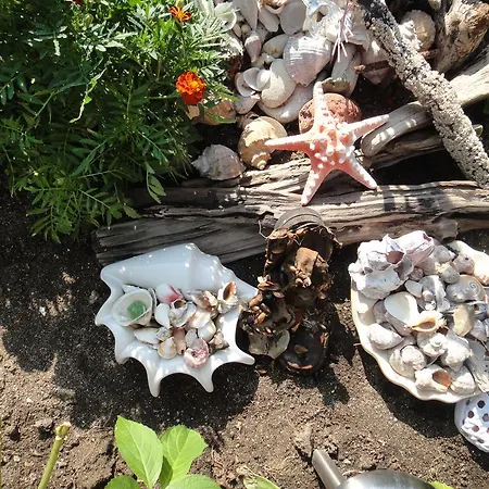 Guest Kotvаta Casa de hóspedes Lozenets