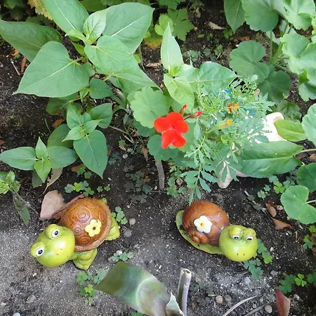 Guest Kotvаta Vendégház