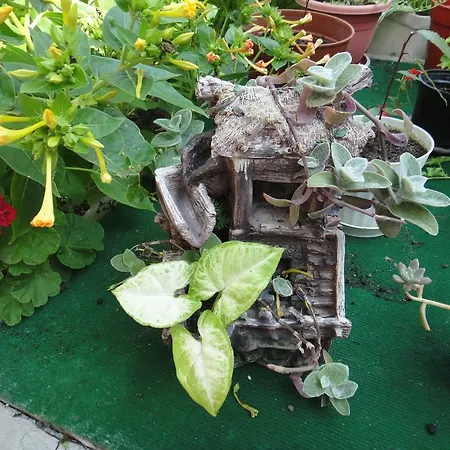 Guest Kotvаta Vendégház 2*