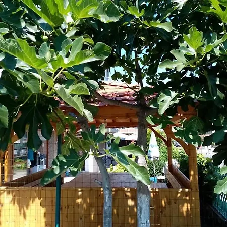 Guest Kotvаta Guest house Lozenets