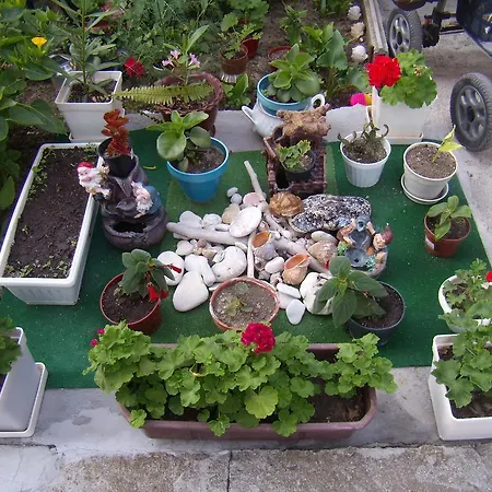 Guest Kotvаta Guest house