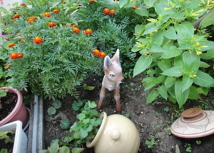 Guest Kotvаta Casa de hóspedes