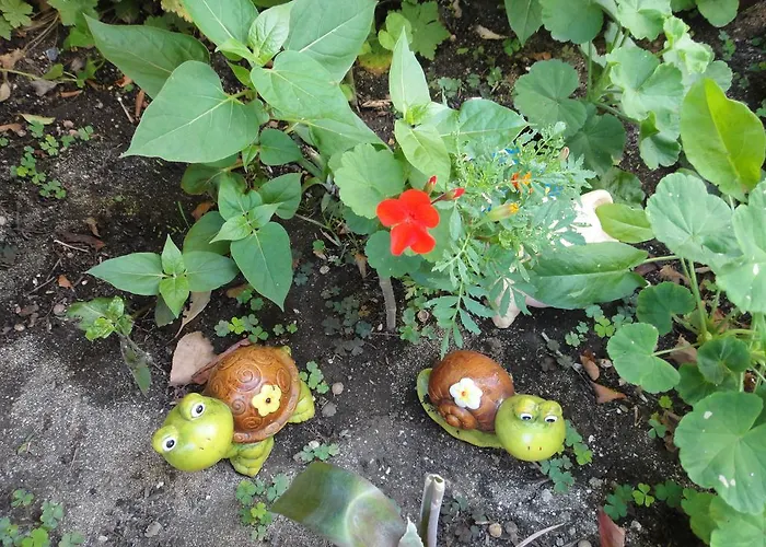 Guest Kotvаta Casa de hóspedes