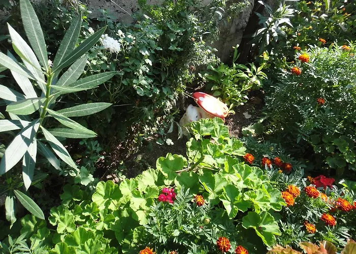 Guest Kotvаta Casa de hóspedes Lozenets