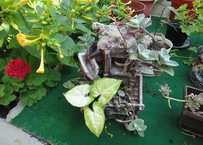 Guest Kotvаta Casa de hóspedes 2*