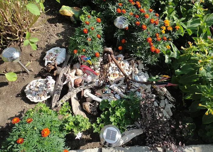 Guest Kotvаta 2* Lozenets