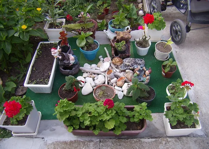 Guest Kotvаta Casa de hóspedes